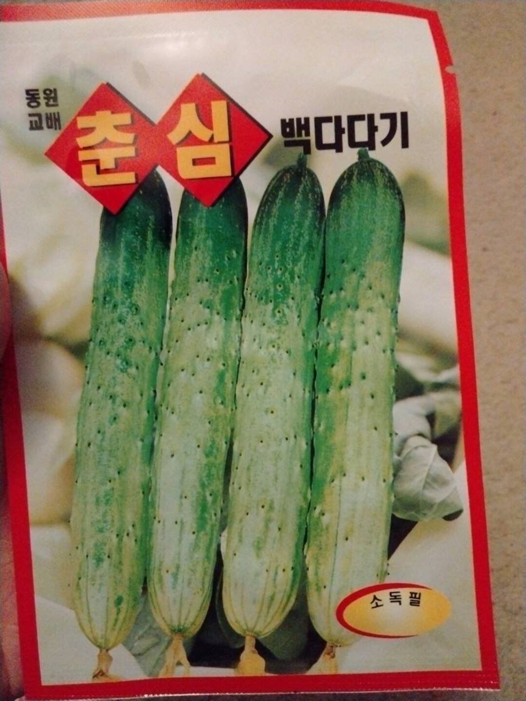 Korean Cucumber Seeds 1 Pack. Very Crunchy, Great for Making Kimchi