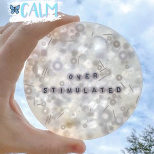 Overstimulated Picky Pad — Low-Stimulation Sensory Fidget for Calm Regulation
