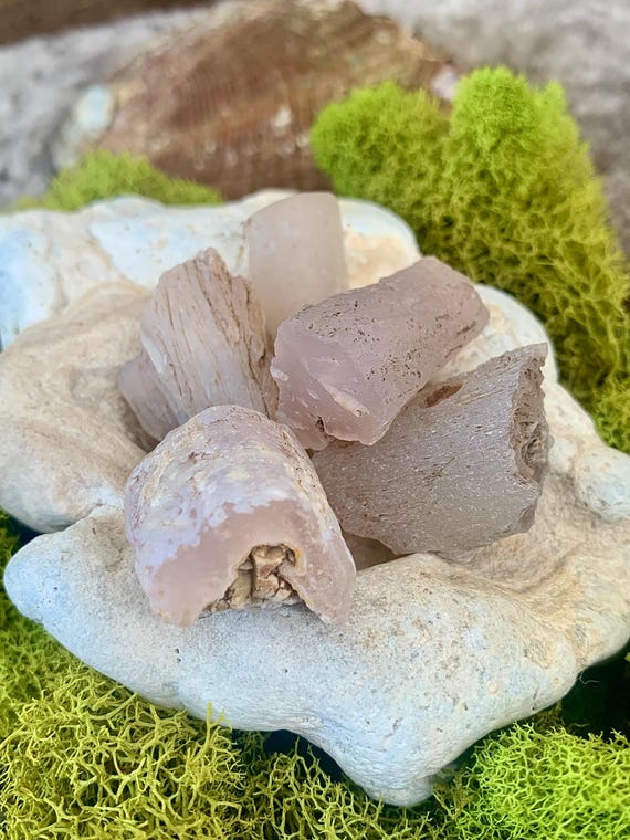 Pink Petrified Wood Limb Cast - Texas Springs Nevada Agate - Etsy