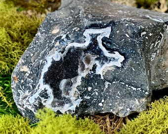 Druzy Black Agatized Coral, White Lace Agate, UV Reactive