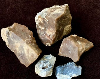 Rough Agatized Coral Pieces Bundle, Carnelian Druzy, UV Reactive, Tampa Bay, Lot of 5