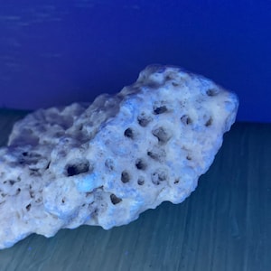 May include: A white coral rock with a porous texture and a light blue hue. The rock is shaped like a small mountain and has many holes and crevices.