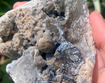 Druzy Botryoidal Agatized Coral with Quartz from Tampa Bay Unpolished Multicolored Agate Fossil