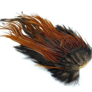 May include: A collection of feathers in shades of brown, black, and orange, arranged in a fan-like shape. The feathers have a soft, textured appearance, with a mix of long and short strands. The base of the feathers is a darker brown, transitioning to lighter orange and black tips.