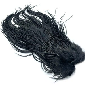 May include: A cluster of black feathers against a white background. The feathers are long, thin, and slightly curved, with a soft, feathery texture. The feathers are bunched together at the base, creating a full, textured appearance. The overall effect is elegant and dramatic.