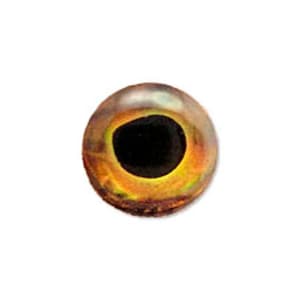 Holographic 3D Fish Eyes: Adhesive Lure Making & Fly Tying - Earth Wind Fire Ice Wind (Gold)