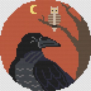 May include: A black crow with a dark gray beak sits on a branch in front of a red sunset. A small owl with yellow eyes and brown and white stripes sits on a branch above the crow. A crescent moon is visible in the upper left corner of the image.