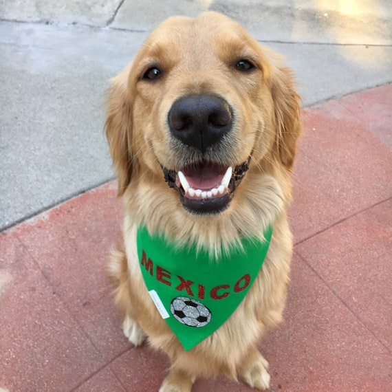fc barcelona dog jersey