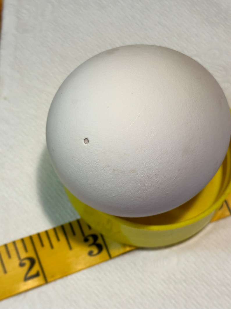 May include: A white egg with a small hole, resting on a yellow egg cup. A yellow measuring tape is in the foreground, with the numbers 2 and 3 visible. The egg cup is approximately 1 inch in diameter.