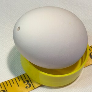 May include: A large white egg rests in a bright yellow egg cup. A yellow measuring tape with black numbers is partially visible, indicating the egg's size. The egg has a small hole on its surface.