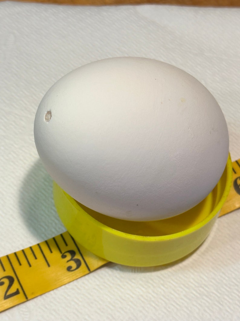 May include: A large white egg rests in a bright yellow egg cup. A yellow measuring tape with black numbers is partially visible, indicating the egg's size. The egg has a small hole on its surface.