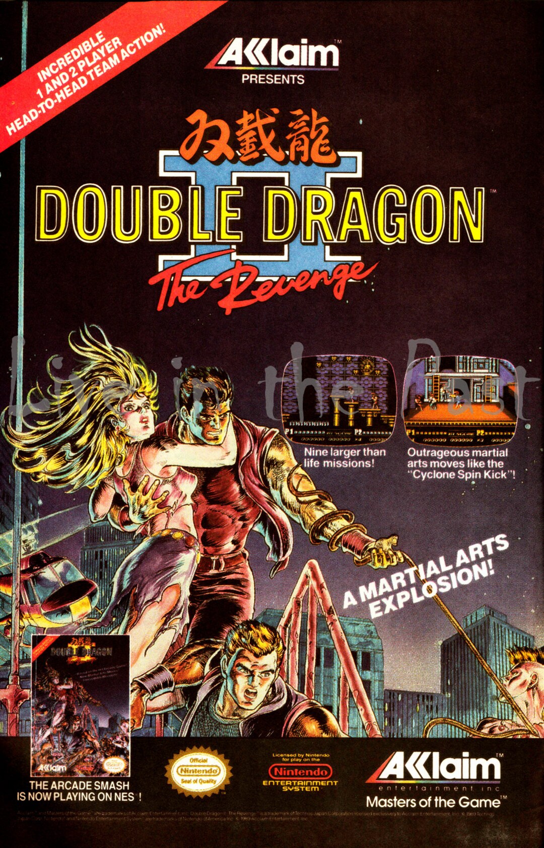 Double Dragon II Nintendo Video Game Advertisement Poster Print