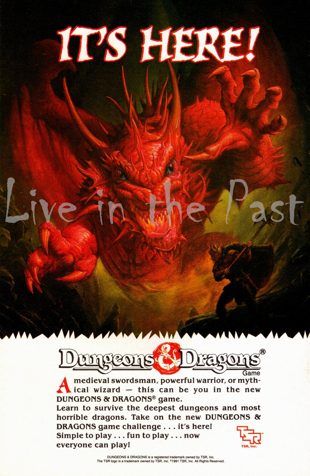 Dungeons and Dragons 80's Advertisement Poster Print *promo* Comes
