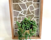 Framed Wall Mounted Planter - Yellow and Gray