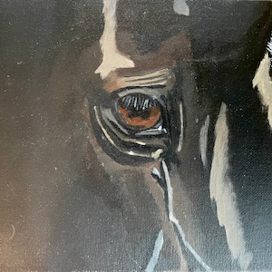 Horse Eye