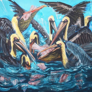 Frenzy Pelican Fine art print