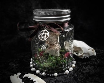 Bone Column Terrarium Pot