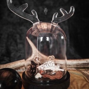 Peut inclure: Une cloche en verre avec des poignées transparentes en forme de bois de cerf, abritant un petit crâne d'animal, une pomme de pin et des champignons séchés. La cloche repose sur une base en bois sombre, créant une pièce décorative unique.