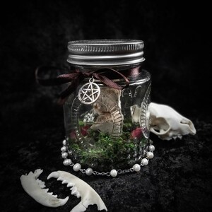 Peut inclure: Un bocal en verre avec un couvercle argenté, rempli de mousse, de fleurs séchées et d'un petit objet. Un charme pentagramme argenté est suspendu à un ruban marron autour du bocal. Une chaîne de perles et des os d'animaux sont à proximité.