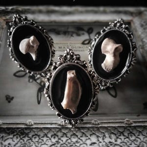 Puede incluir: Tres anillos de estilo antiguo con fondos negros ovalados, cada uno con un pequeño fragmento de hueso de color claro. Los anillos tienen marcos ornamentados de color plateado. Los anillos se exhiben en una bandeja decorativa.