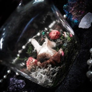 May include: A glass terrarium containing dried flowers, moss, and a small bone fragment. The terrarium is surrounded by pearls, crystals, and a dark background. The overall aesthetic is gothic and natural.