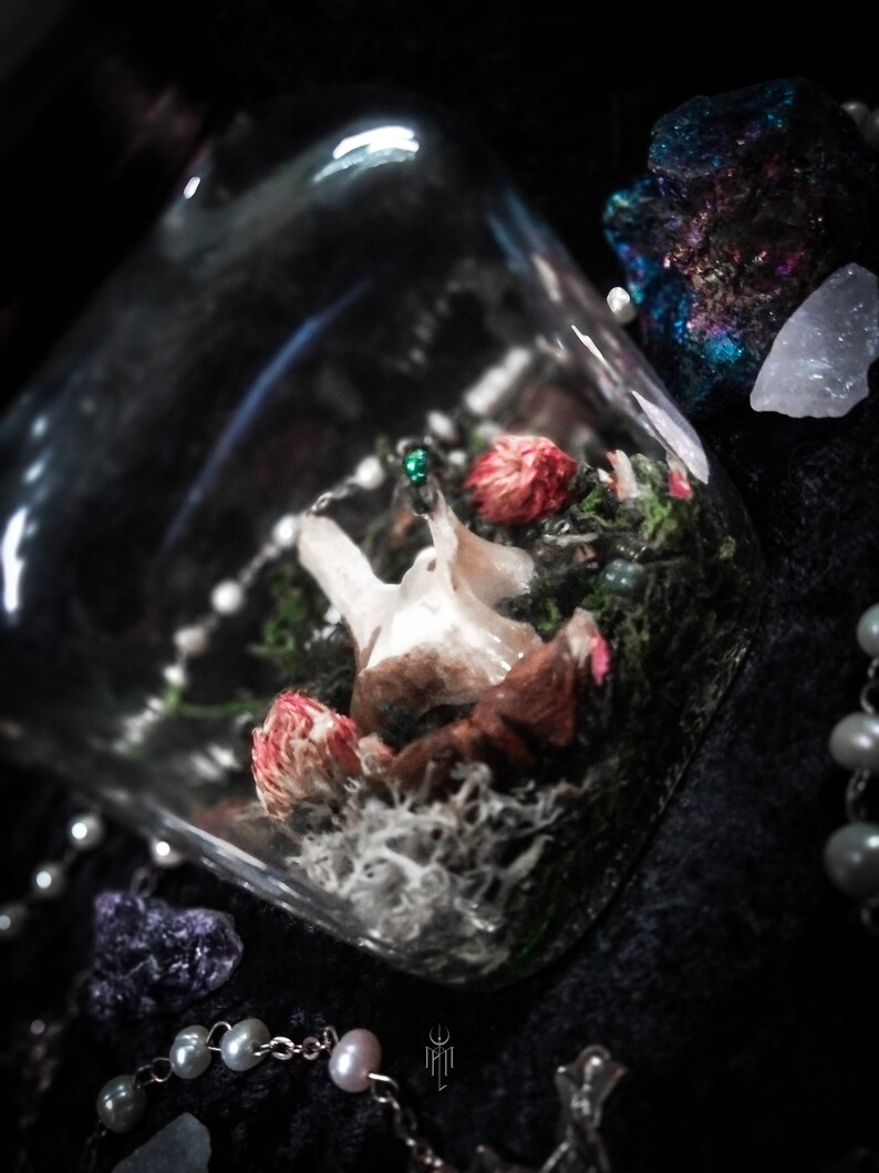 May include: A glass terrarium containing dried flowers, moss, and a small bone fragment. The terrarium is surrounded by pearls, crystals, and a dark background. The overall aesthetic is gothic and natural.