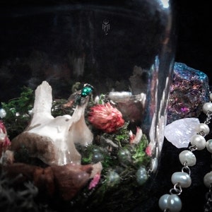 May include: A glass jar terrarium with a dark, moody aesthetic. Inside are dried flowers, moss, and a beetle. A pearl necklace and a large, iridescent stone are visible outside the jar.