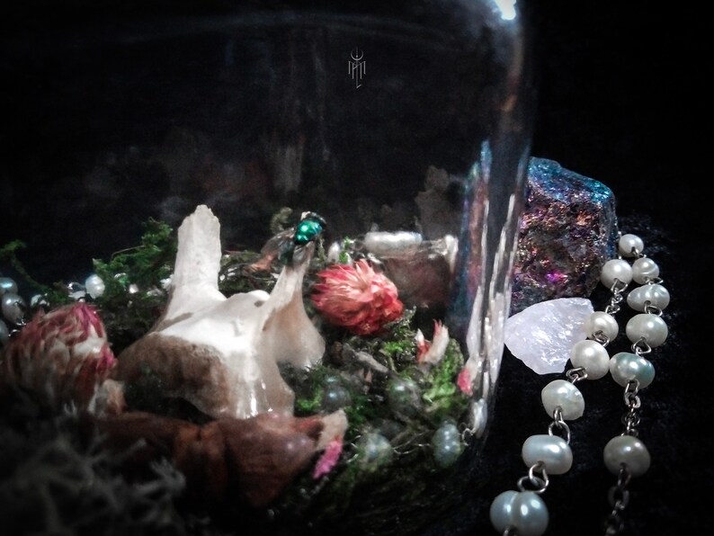 May include: A glass jar terrarium with a dark, moody aesthetic. Inside are dried flowers, moss, and a beetle. A pearl necklace and a large, iridescent stone are visible outside the jar.
