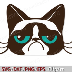 Cutest angry cat ever! : r/savannah
