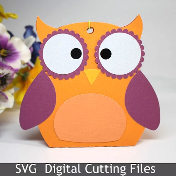 SVG cutting file template Gift Box Owl Cricut Silhouette Baby Shower Kids Birthday Present DIY  1107SV