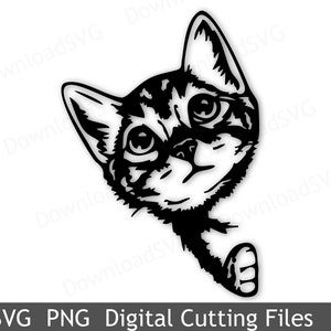SVG PNG archivo de corte Curioso gato Buenos días Plantilla Vector Transferencia de calor Calcomanía Cricut Silueta Vinilo Decoración