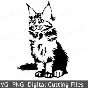 Fichier de coupe PNG SVG maine coon chat vecteur Cricut silhouette vinyle transfert cartes scrapbooking décoration de la maison animaux animal de compagnie