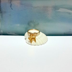 Anello elica per gatti in oro, orecchino cartilagine riempito in oro 14 carati, lobo in argento sterling 925, cerchio di conchiglia, 16G 18G 20G 22G, piccolo gatto d'oro, regalo di Sharm