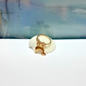 Gold Dolphin Helix Ring,14K Goldknorpel Earring,925 Sterling Silber Lobe, Conch Hoop,16G 18G 20G 22G, Nautical Jewelry, Gifts