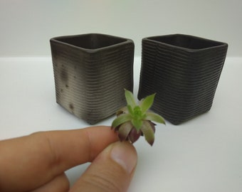 Set of 2  square ceramic succulent planters. Small handmade square black succulent pots. Minimalistic wabi sabi planters