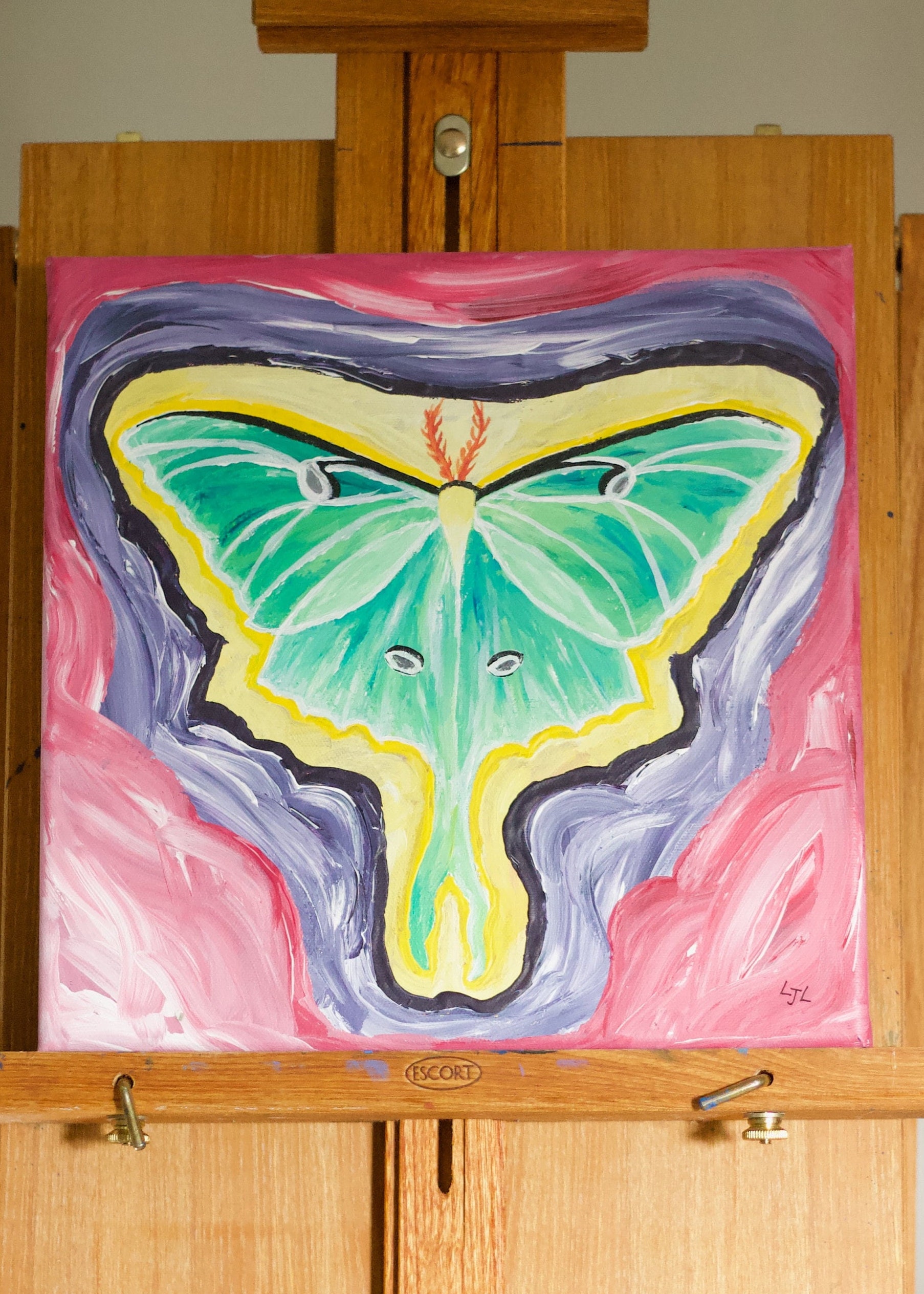 Original Luna Moth Acrylic Painting - Etsy
