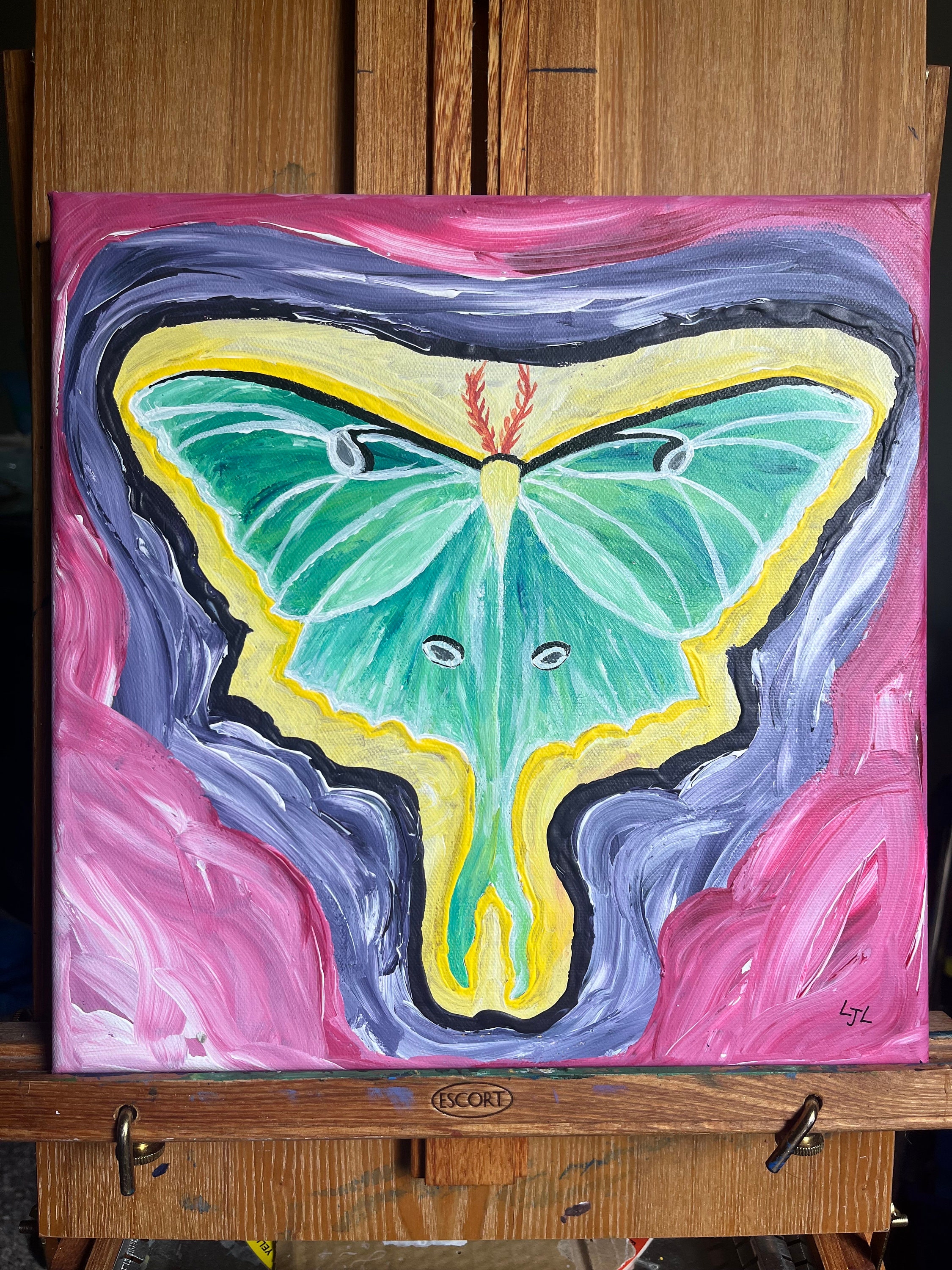 Original Luna Moth Acrylic Painting - Etsy