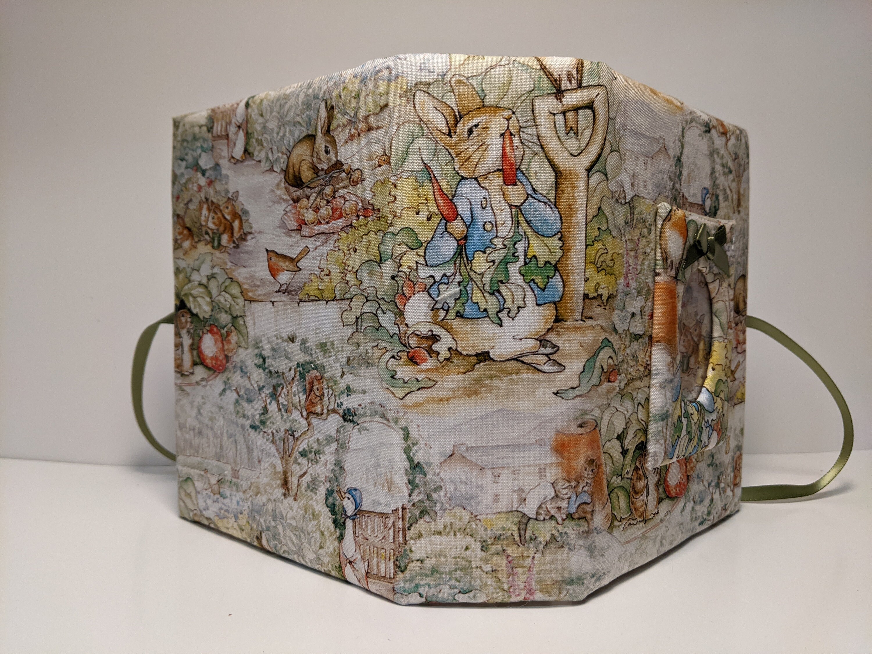 Disneys Peter Rabbit Photo Album - Bunny Photo Album - Holds 100 4 X 6 ...