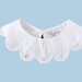 see more listings in the removable collars section