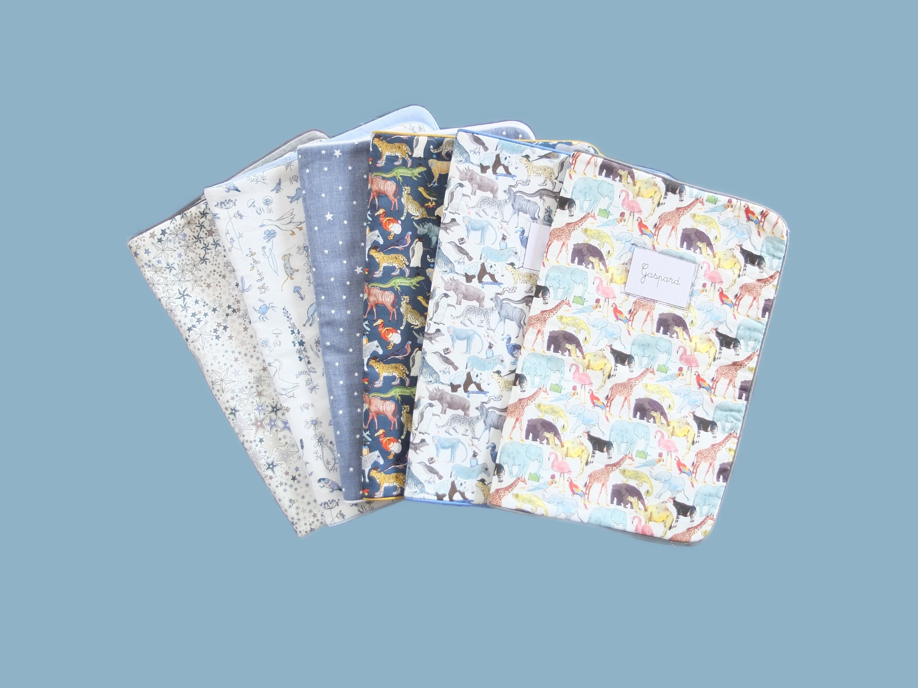 Baby boy health book cover, 15 fabrics to choose from, customizable