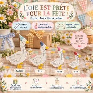 Écusson oie anniversaire thermocollant, patch brodé personnalisable, 4 tailles, couleur du chapeau au choix, 1er anniversaire