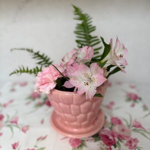May include: A pink ceramic flower pot with a textured design, filled with pink and white flowers and green fern fronds. The pot sits on a floral patterned tablecloth with pink roses.