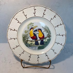 May include: White decorative plate featuring a detailed illustration of two toucans perched on a branch. The plate has a textured rim with a gold trim and a decorative pattern. The birds have yellow, red, and black feathers.