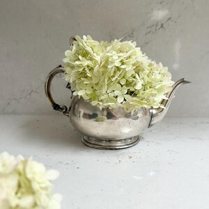 Peut inclure: Une théière en argent remplie de fleurs d'hortensia vert clair. La théière a un corps arrondi, un bec courbé et une anse. Les fleurs sont pleines et débordent de la théière, créant un arrangement doux et naturel. Le fond est gris clair.