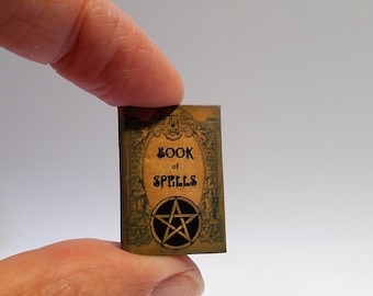 May include: A miniature book with a brown cover and a pentagram design. The book's title is "Book of Spells".
