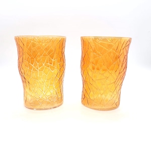 Vintage Pair of Vintage Juice Tumblers