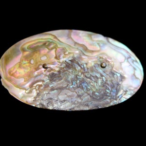 Oblong Abalone Shell Brooch