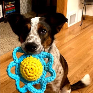 Dog Toy