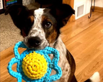 Dog Toy