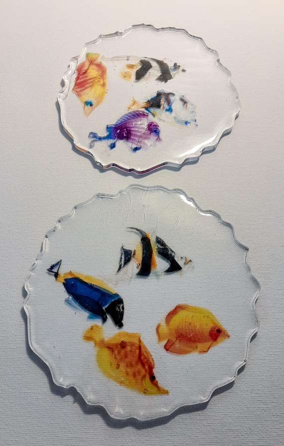 Clear Resin with Tropical Fish